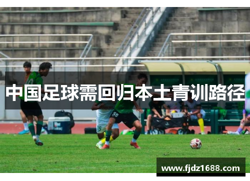 中国足球需回归本土青训路径