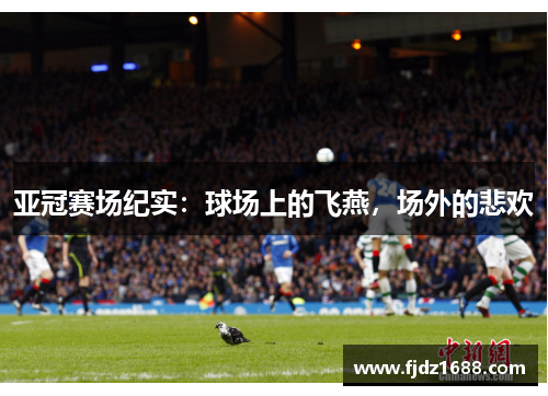 亚冠赛场纪实：球场上的飞燕，场外的悲欢